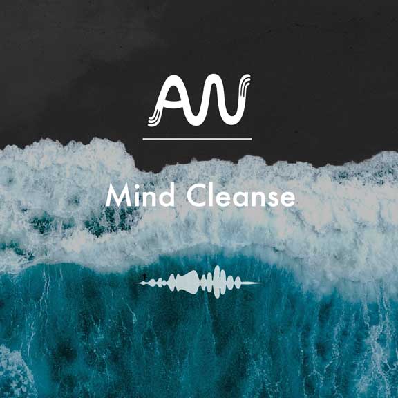 Mind Cleanse track cover art